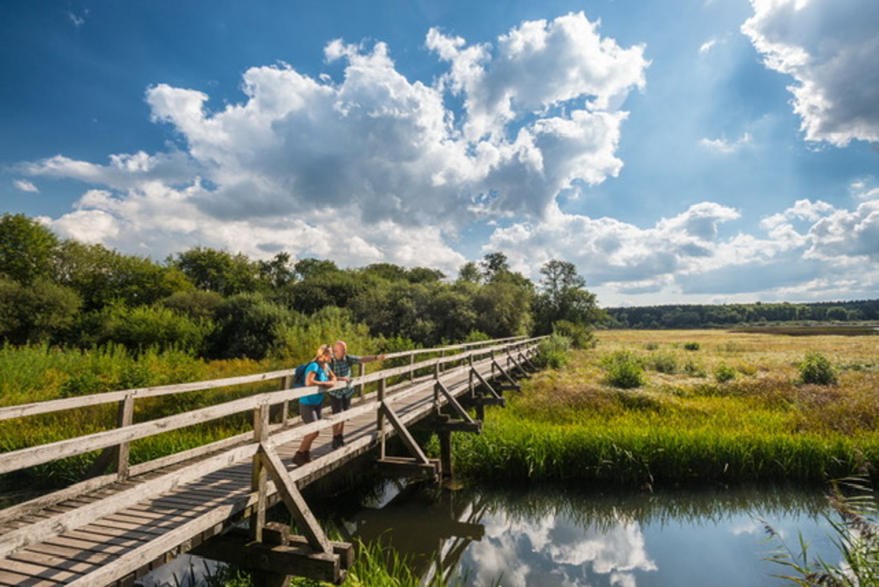 Zwei Personen mit Rucksäcken gehen über eine Holzbrücke über einen ruhigen Bach in einer üppigen grünen Landschaft unter einem strahlend blauen Himmel mit großen, flauschigen Wolken.