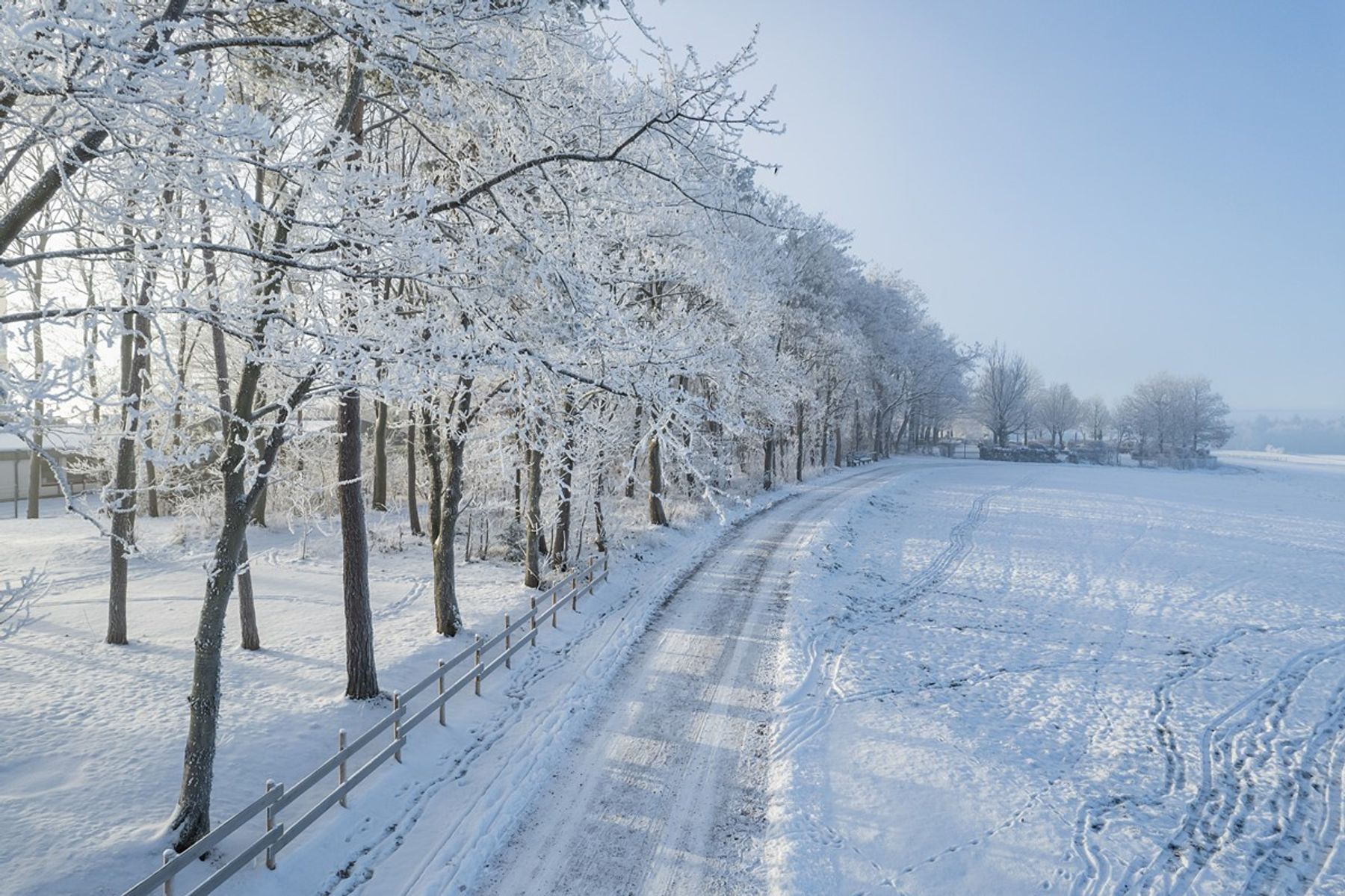Eine schneebedeckte Straße schlängelt sich durch eine winterliche Landschaft, die von vereisten Bäumen gesäumt ist. Auf der linken Seite verläuft ein Holzzaun, und verschneite Felder erstrecken sich unter einem klaren blauen Himmel.
