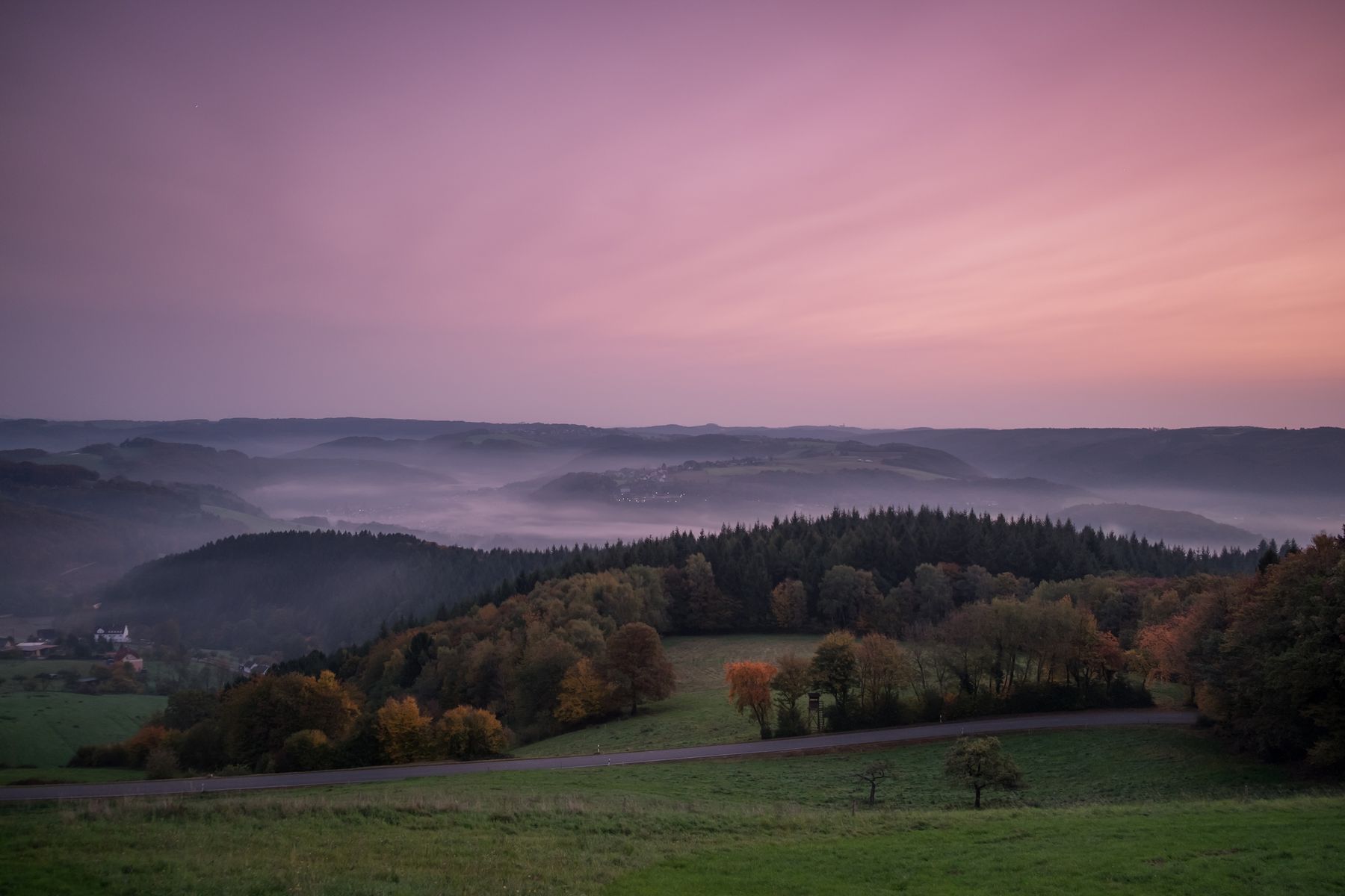 Sanfte Hügel mit Herbstbäumen und Nebel in der Morgendämmerung, darüber ein pastellrosa und violetter Himmel; Waldschichten und ferne Landschaften verschwinden am Horizont.
