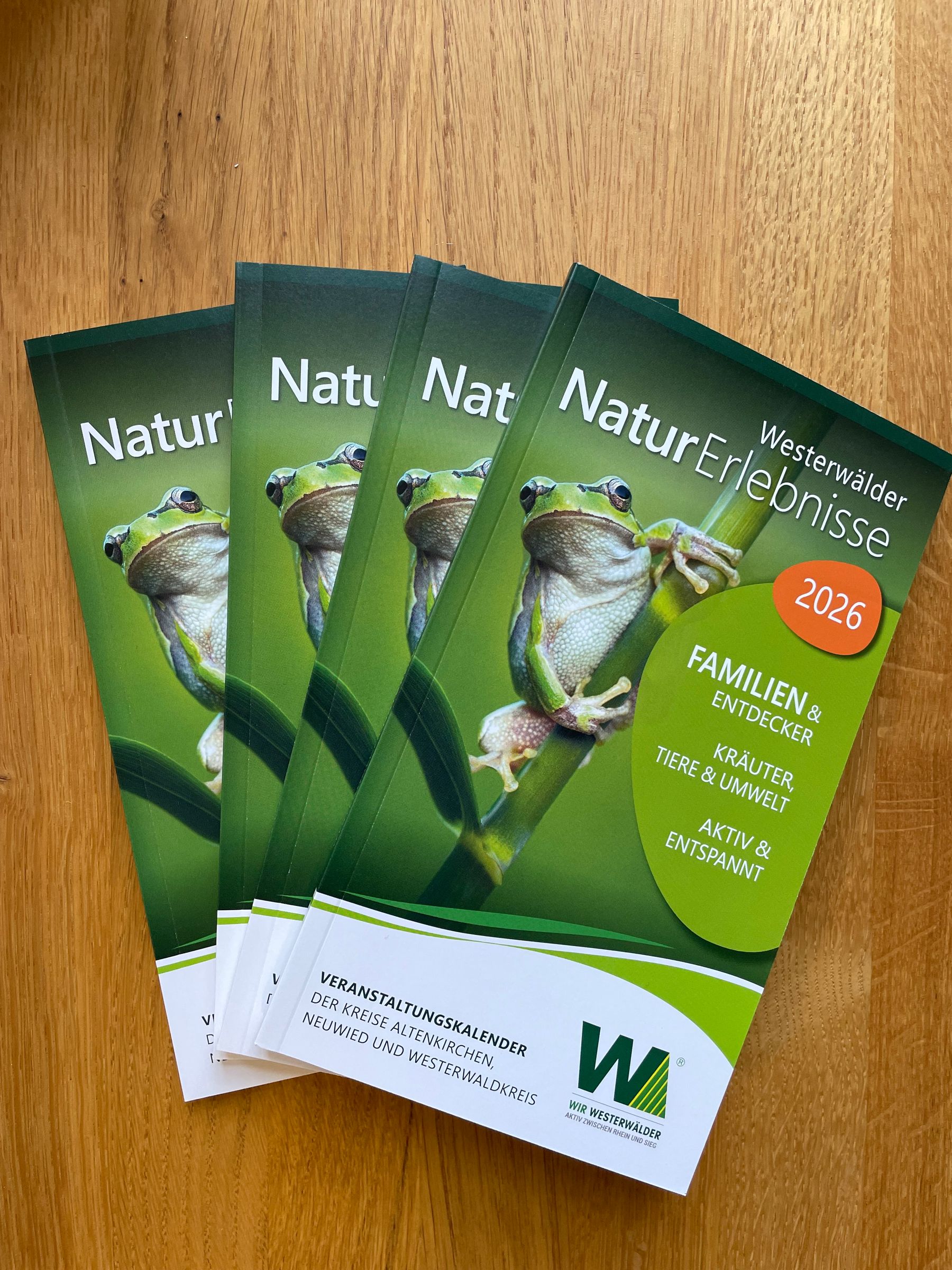 Four brochures titled “NaturErlebnisse Westerwälder 2026” with a green frog on the cover are fanned out on a wooden surface. The brochures highlight family activities, nature, and events in the Westerwald region.