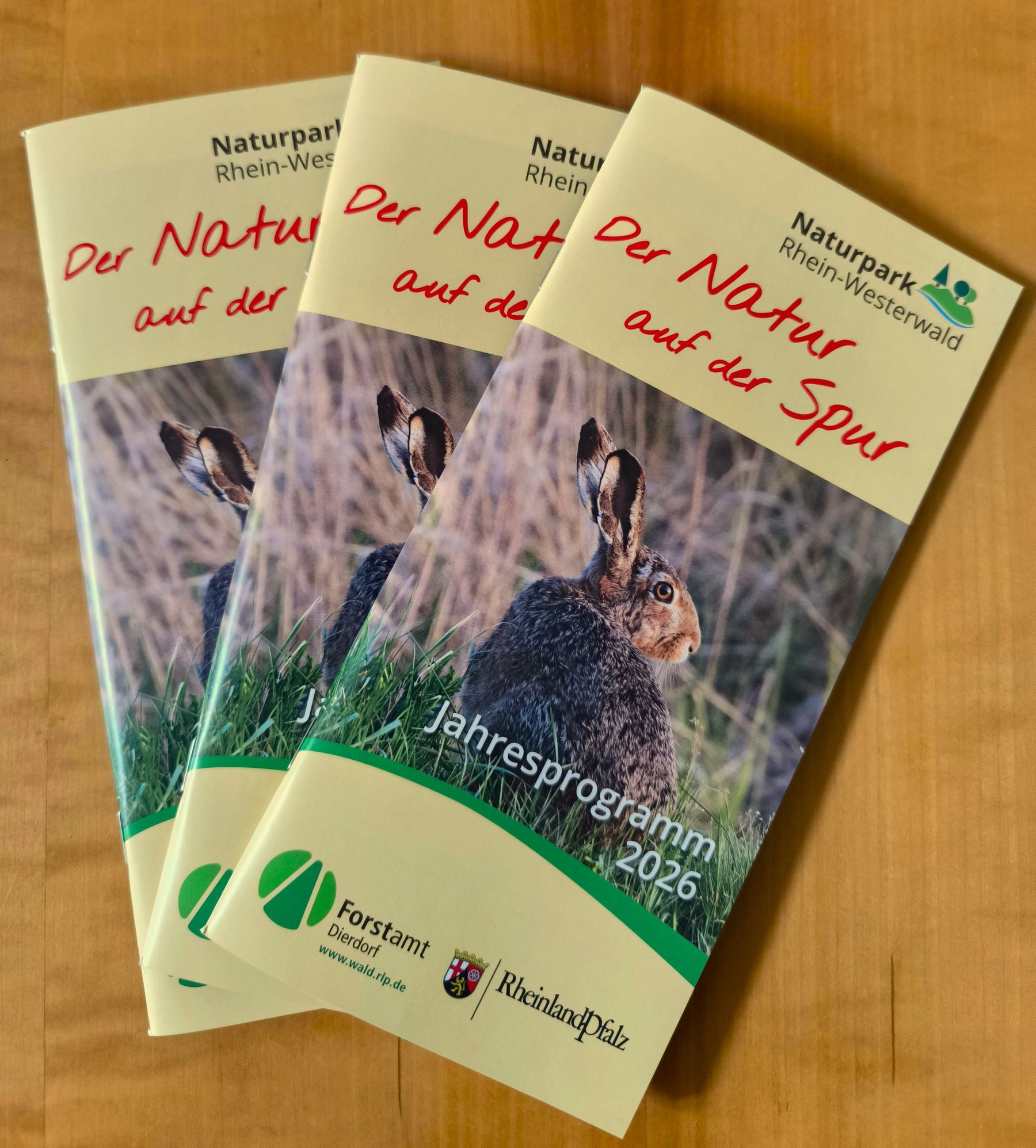 Three brochures for the Naturpark Rhein-Westerwald lie on a wooden surface. The cover shows a hare in grass and includes the text Jahresprogramm 2026 and logos of supporting organizations.