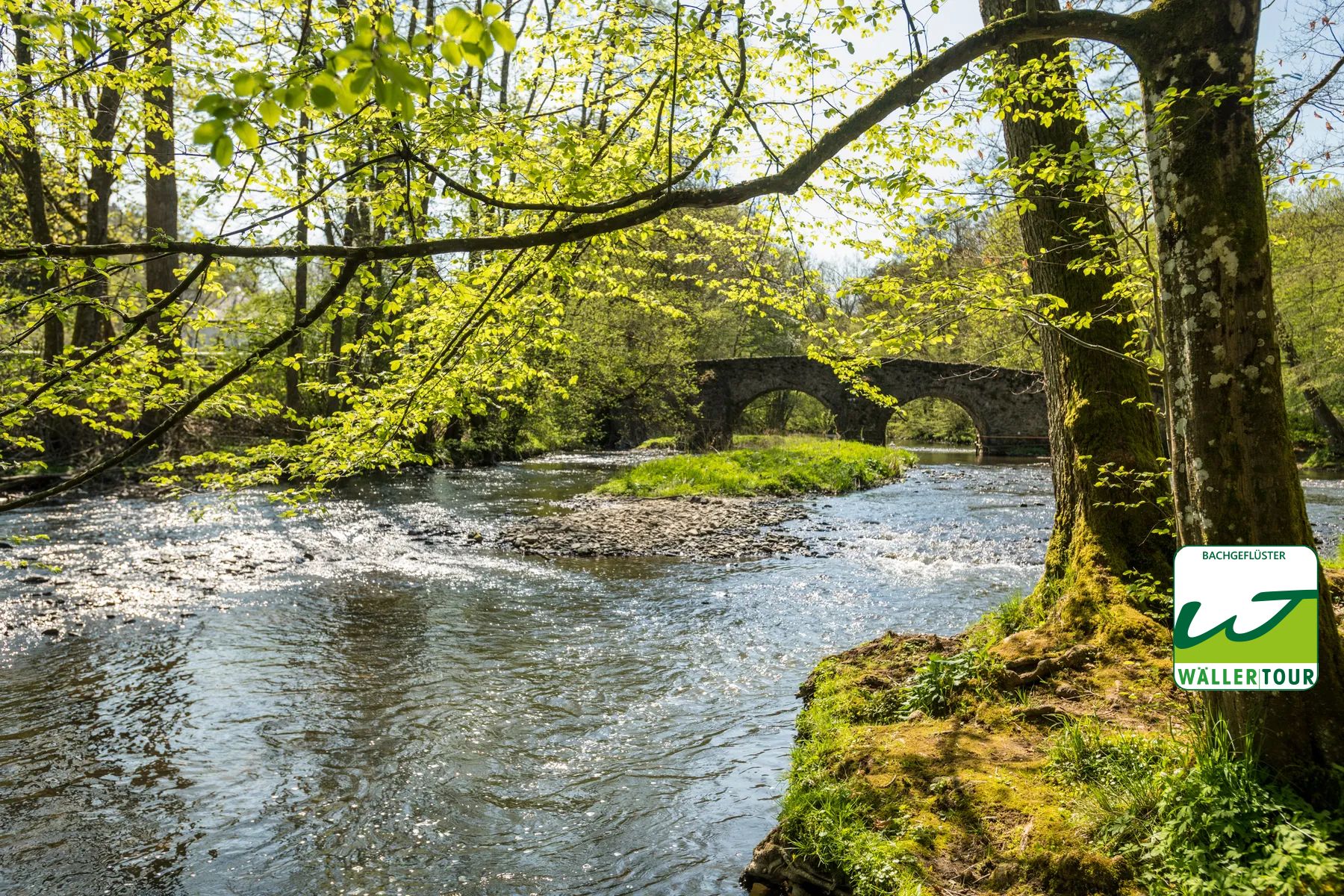 Ein friedlicher Fluss fließt unter einer alten Steinbrücke, umgeben von grünen Bäumen und Sonnenlicht. Moos bedeckt das Flussufer im Vordergrund. Ein Logo in der Ecke lautet Wassertour Waller.