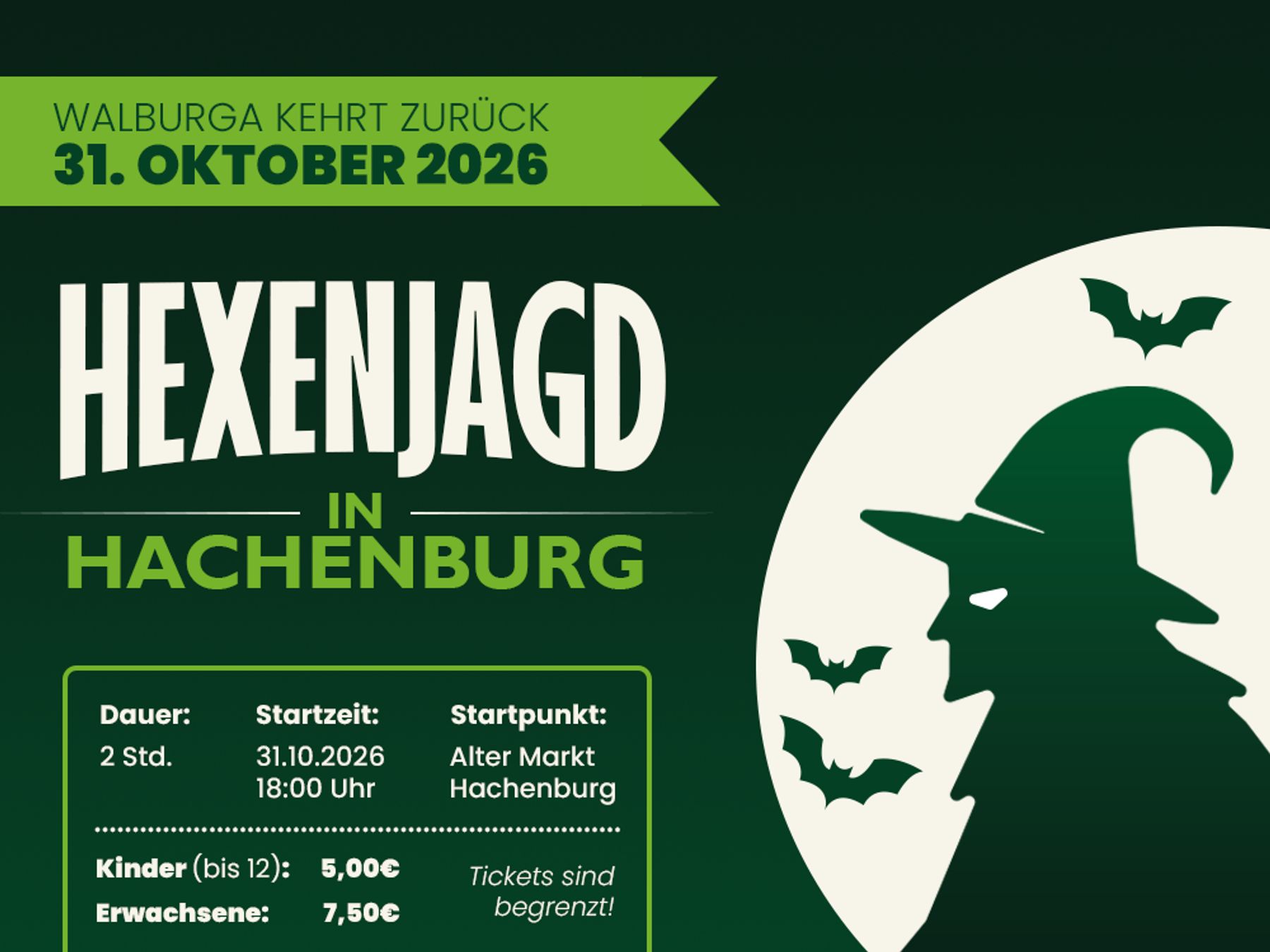 Poster for a Halloween-themed event in Hachenburg on October 31, 2026, featuring a witchs silhouette with bats, event details, prices for children (€5) and adults (€7.50), and a green and black color scheme.